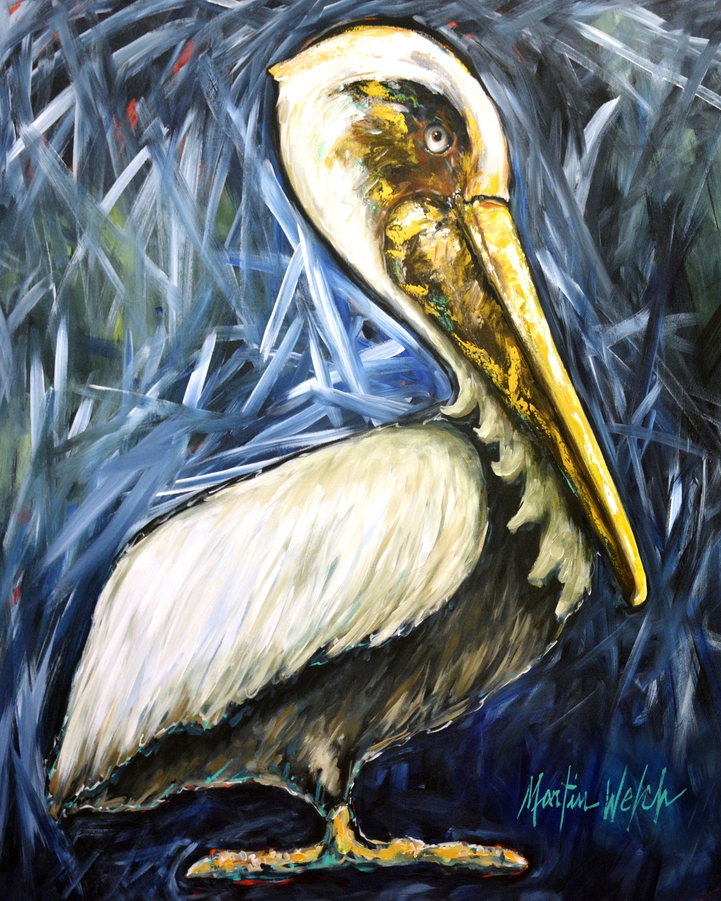 Here's Looking At You - Pelican - 11"x14" Print